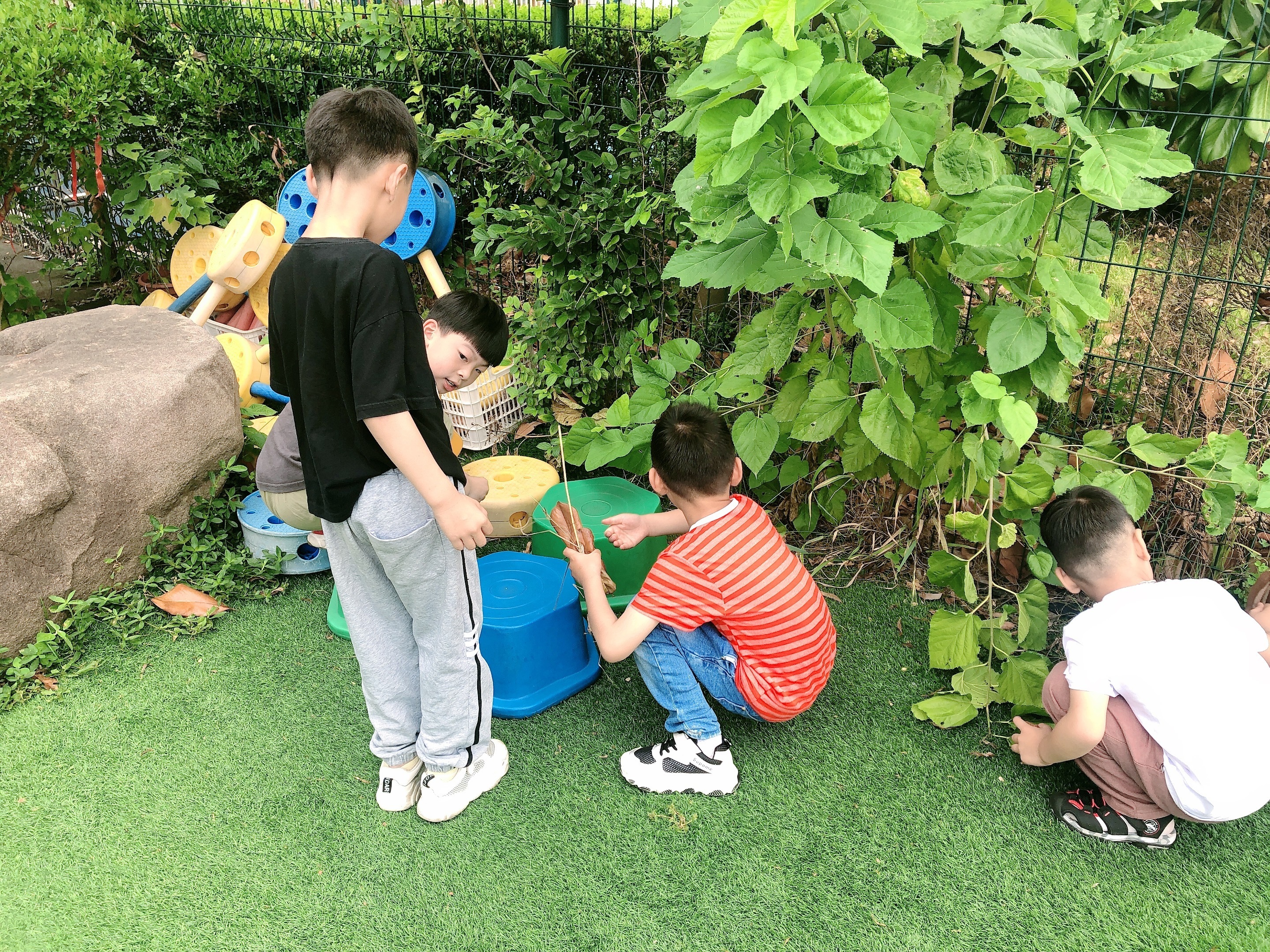 今天下午，湛江将开展全市爱国卫生运动统⼀行动